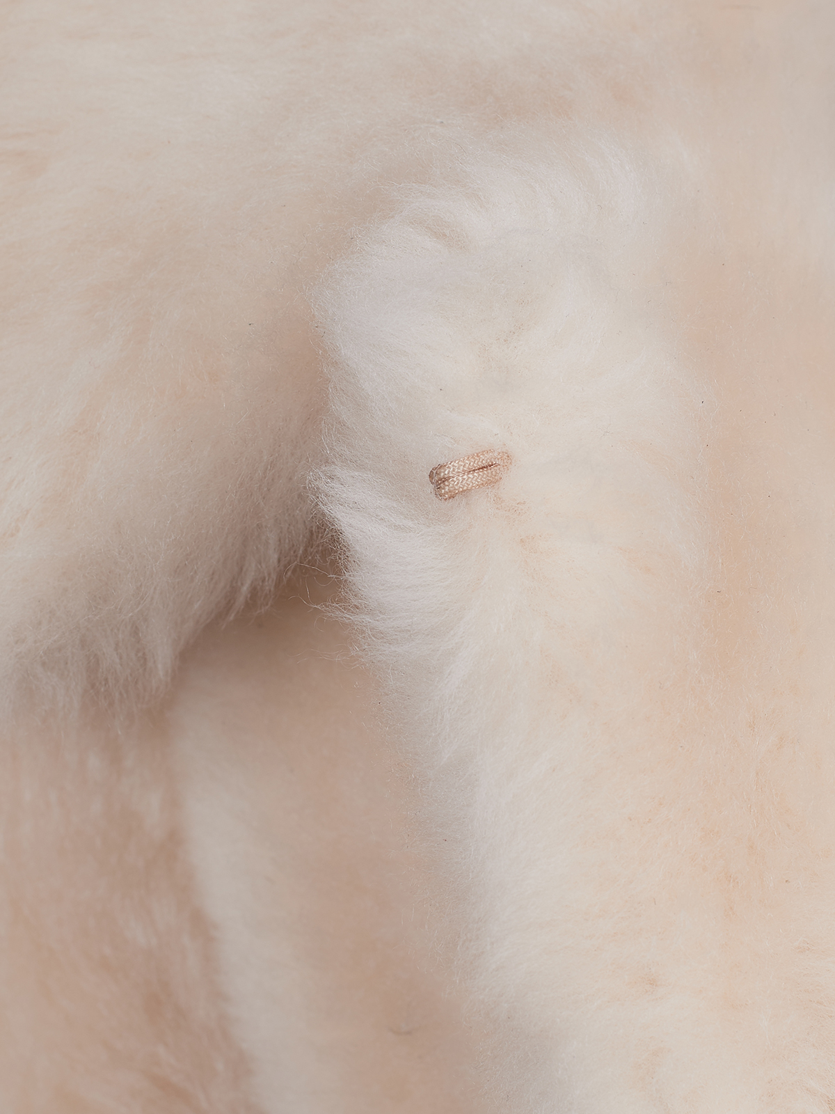 IVY SHEARLING COAT IVY SHEARLING COAT
