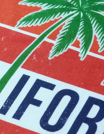 CALIFORNIA T SHIRT